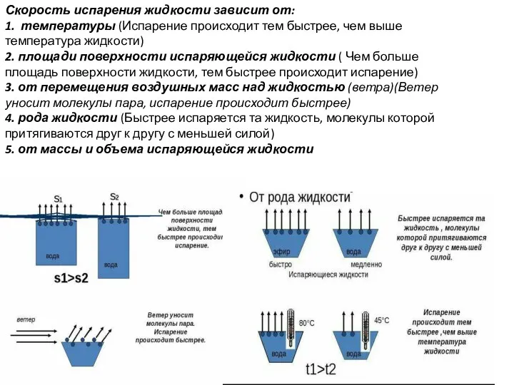 Скорость испарения жидкости зависит от: 1. температуры (Испарение происходит тем быстрее, чем