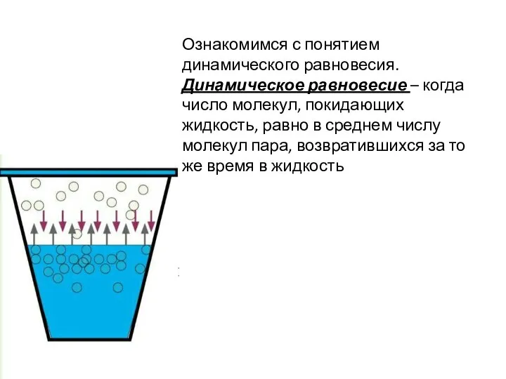 Ознакомимся с понятием динамического равновесия. Динамическое равновесие – когда число молекул, покидающих