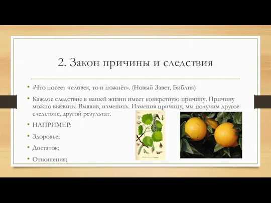 2. Закон причины и следствия «Что посеет человек, то и пожнёт». (Новый