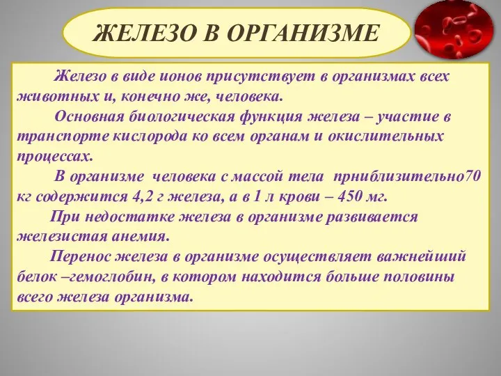 ЖЕЛЕЗО В ОРГАНИЗМЕ Железо в виде ионов присутствует в организмах всех животных