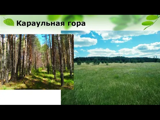 Караульная гора