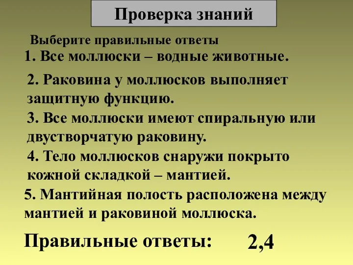 Проверка знаний 1. Все моллюски – водные животные. 2. Раковина у моллюсков