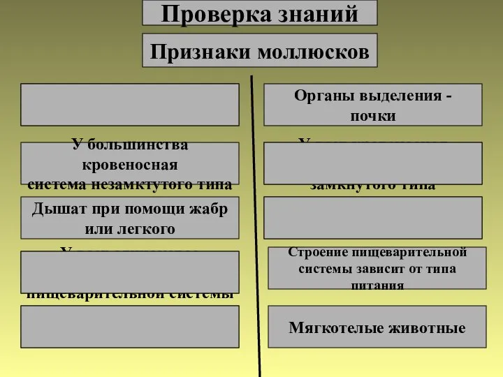 Проверка знаний Признаки моллюсков Органы выделения – метанефридии Органы выделения - почки