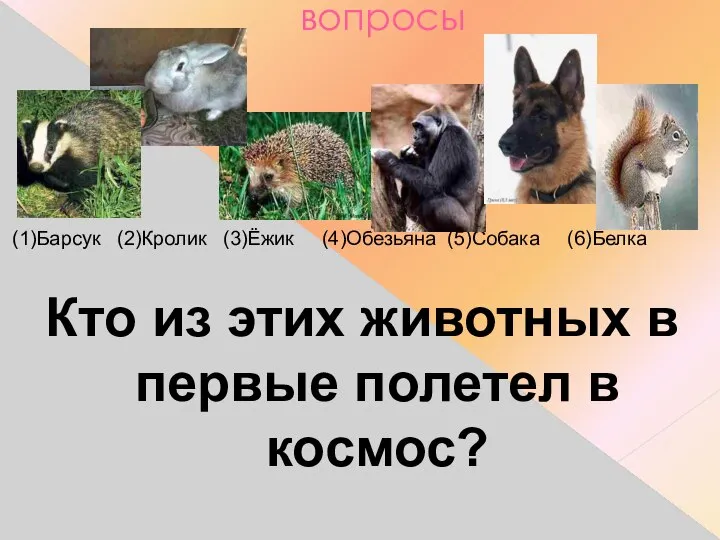 вопросы (1)Барсук (2)Кролик (3)Ёжик (4)Обезьяна (5)Собака (6)Белка Кто из этих животных в первые полетел в космос?