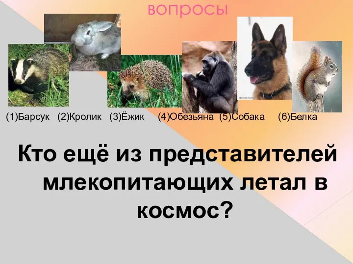 вопросы (1)Барсук (2)Кролик (3)Ёжик (4)Обезьяна (5)Собака (6)Белка Кто ещё из представителей млекопитающих летал в космос?