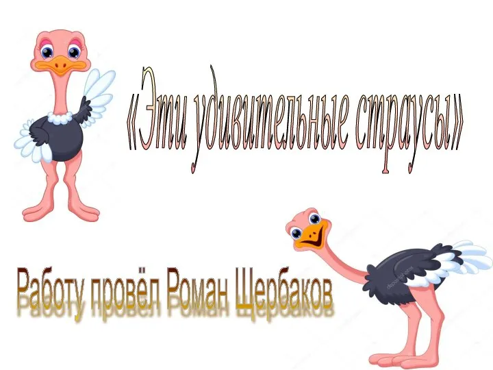 «Эти удивительные страусы» Работу провёл Роман Щербаков
