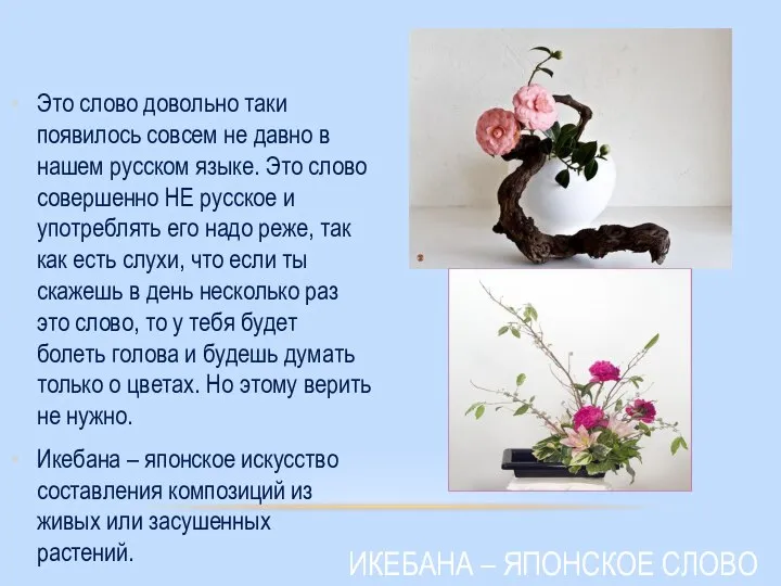 Это слово довольно таки появилось совсем не давно в нашем русском языке.