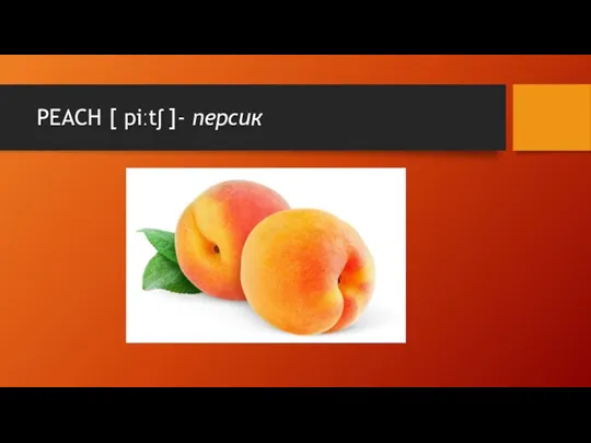 PEACH [ piːtʃ ]- персик