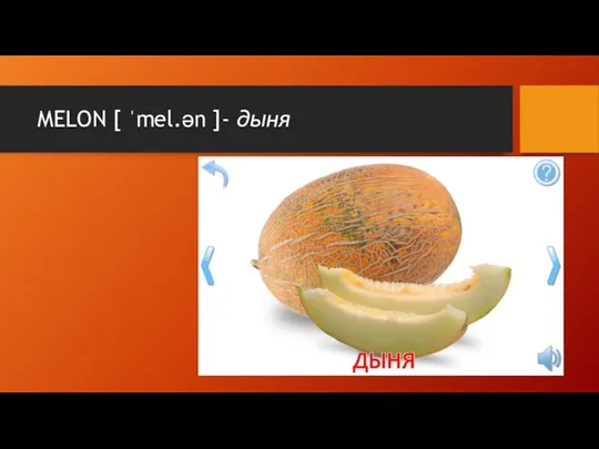 MELON [ ˈmel.ən ]- дыня