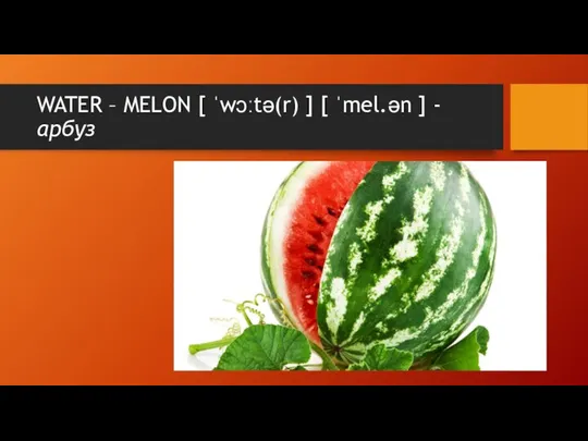 WATER – MELON [ ˈwɔːtə(r) ] [ ˈmel.ən ] - арбуз