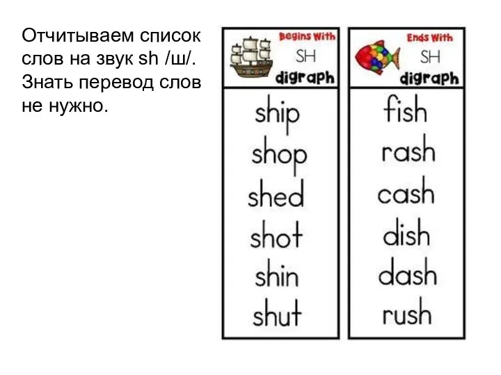 Отчитываем список слов на звук sh /ш/. Знать перевод слов не нужно.