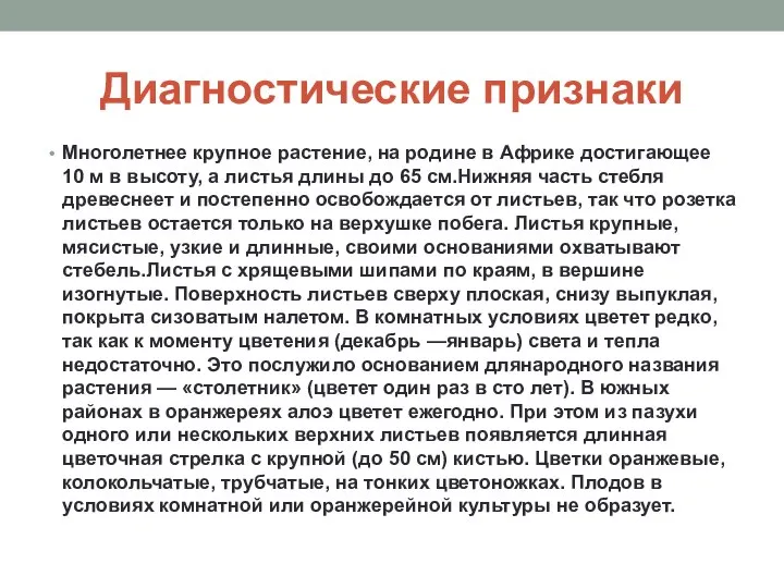 Диагностические признаки Многолетнее крупное растение, на родине в Африке достигающее 10 м