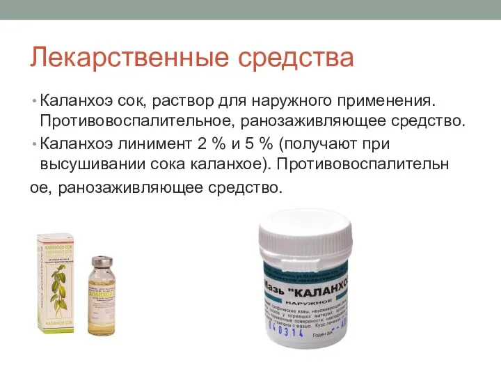 Лекарственные средства Каланхоэ сок, раствор для наружного применения. Противовоспалительное, ранозаживляющее средство. Каланхоэ