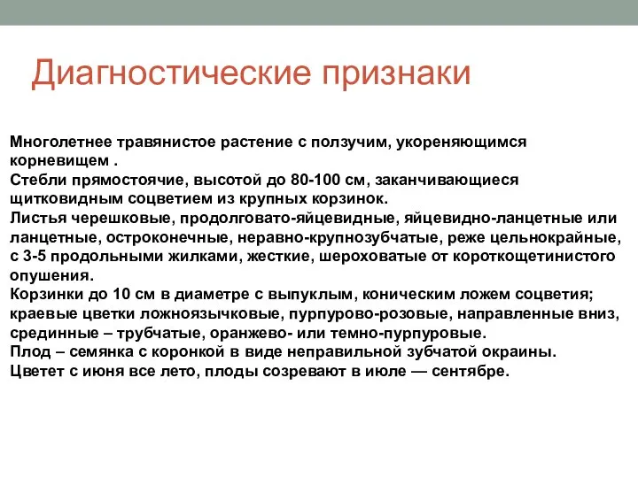 Диагностические признаки Многолетнее травянистое растение с ползучим, укореняющимся корневищем . Стебли прямостоячие,