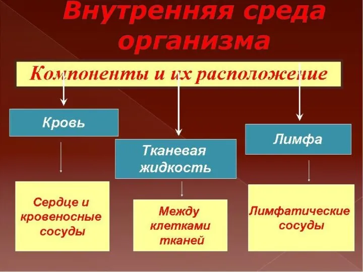 ФЕДЕРАЛЬНЫЙ ПЕРЕЧЕНЬ — НОРМАТИВНО-ПРАВОВЫЕ АКТЫ Приказом Министерства просвещения Российской Федерации от 28