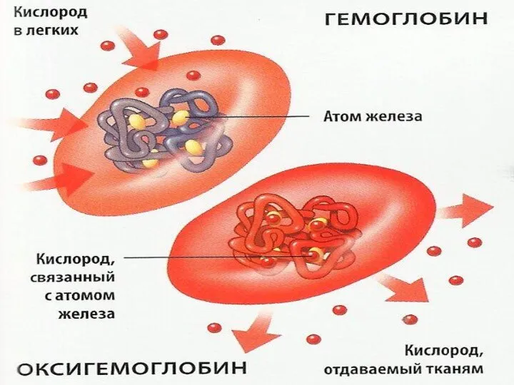 Прорывное научно-технологическое и социально-экономическое развитие России на основе современных технологий и обеспеченное