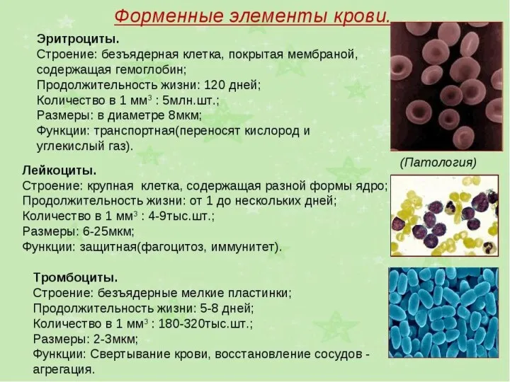 Менеджмент (правильная рассадка) 11 1 2 3 4 Доска Сидеть лицом к учителю