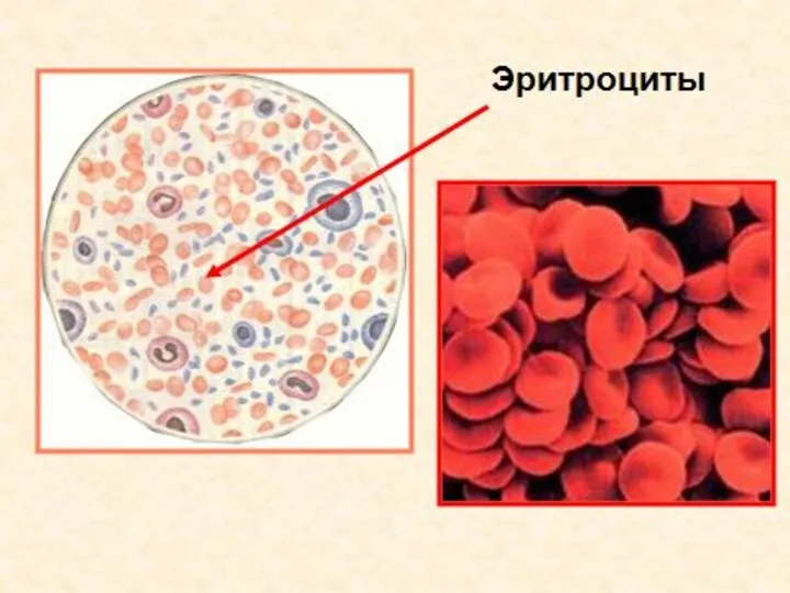 Менеджмент (создание пар)