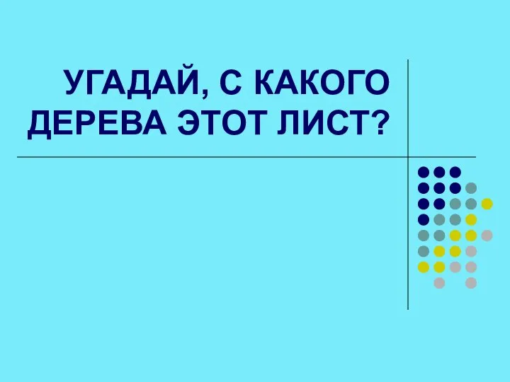 УГАДАЙ, С КАКОГО ДЕРЕВА ЭТОТ ЛИСТ?