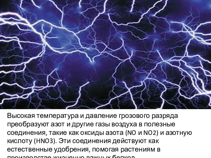 f Высокая температура и давление грозового разряда преобразуют азот и другие газы