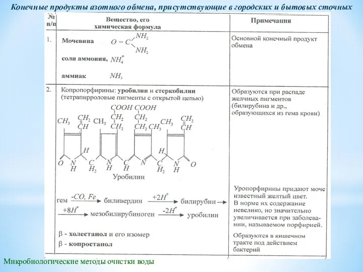 Микробиологические методы очистки воды Конечные продукты азотного обмена, присутствующие в городских и бытовых сточных водах