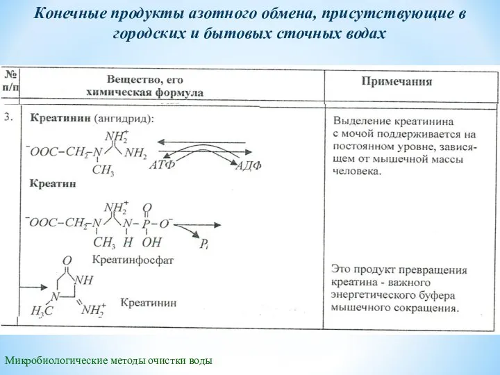 Микробиологические методы очистки воды Конечные продукты азотного обмена, присутствующие в городских и бытовых сточных водах