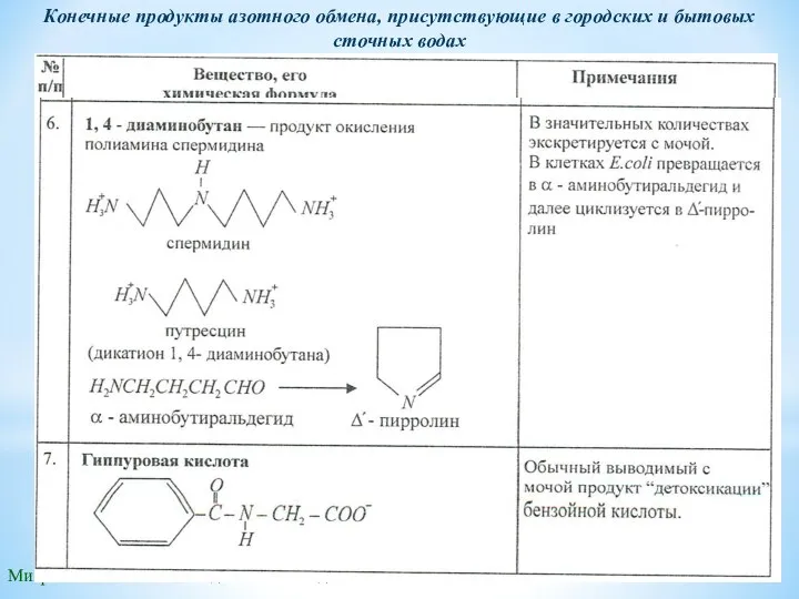 Микробиологические методы очистки воды Конечные продукты азотного обмена, присутствующие в городских и бытовых сточных водах