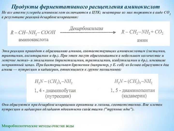 Микробиологические методы очистки воды Продукты ферментативного расщепления аминокислот Не все атомы углерода