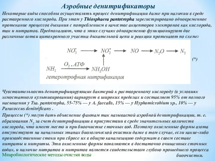 Микробиологические методы очистки воды Аэробные денитрификаторы Некоторые виды способны осуществлять процесс денитрификации