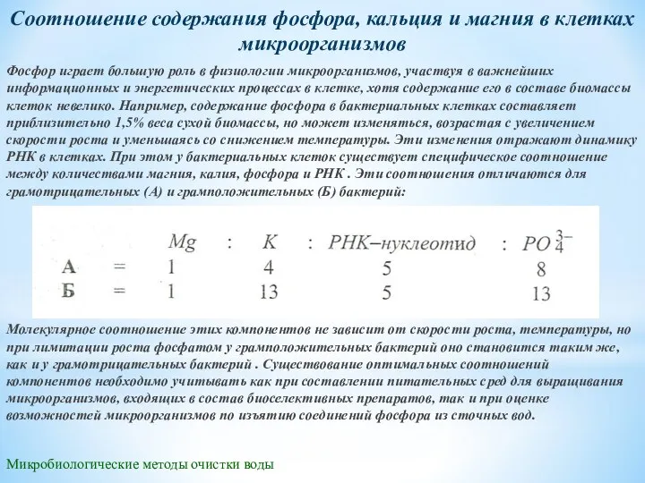 Микробиологические методы очистки воды Соотношение содержания фосфора, кальция и магния в клетках