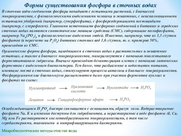 Микробиологические методы очистки воды Формы существования фосфора в сточных водах В сточные