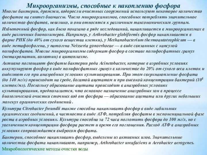 Микробиологические методы очистки воды Микроорганизмы, способные к накоплению фосфора Многие бактерии, дрожжи,