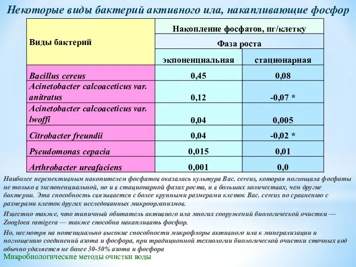 Микробиологические методы очистки воды Некоторые виды бактерий активного ила, накапливающие фосфор Наиболее