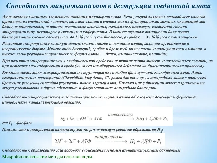 Микробиологические методы очистки воды Способность микроорганизмов к деструкции соединений азота Азот является