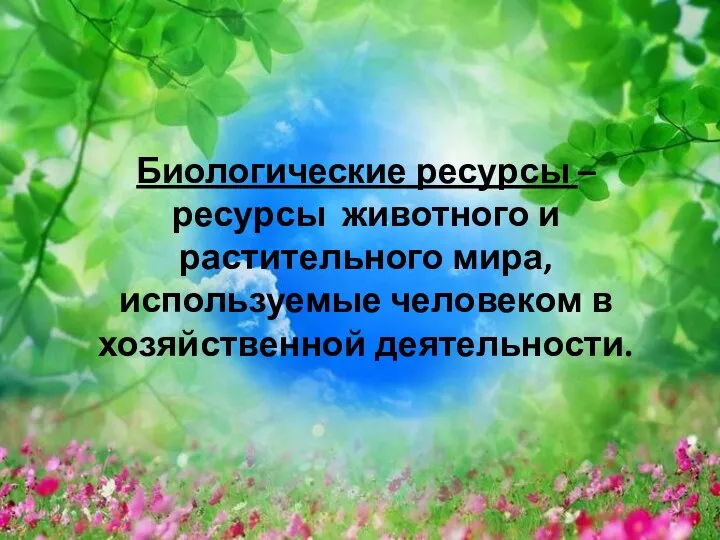 Биологические ресурсы – ресурсы животного и растительного мира, используемые человеком в хозяйственной деятельности.