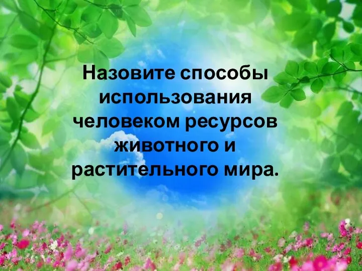 Назовите способы использования человеком ресурсов животного и растительного мира.