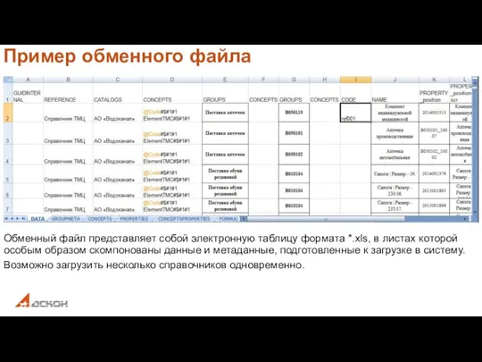 Обменный файл представляет собой электронную таблицу формата *.xls, в листах которой особым