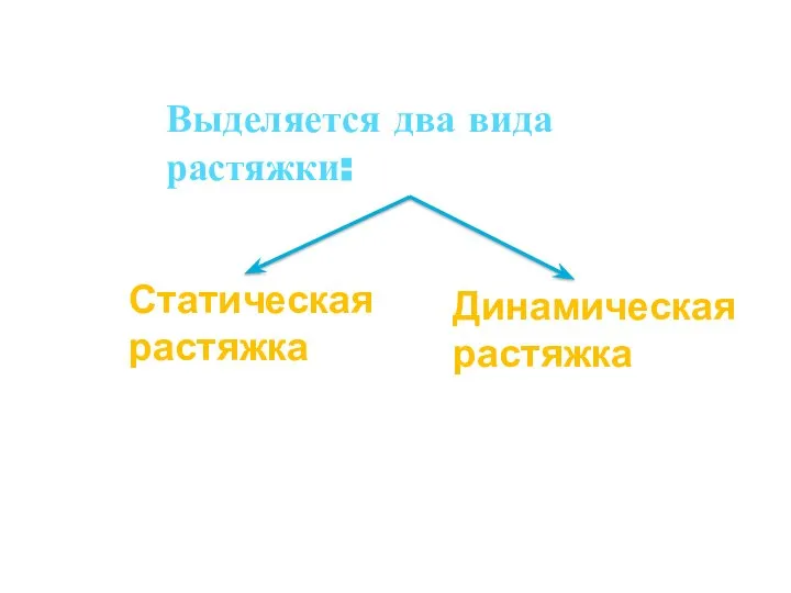 Выделяется два вида растяжки: Статическая растяжка Динамическая растяжка