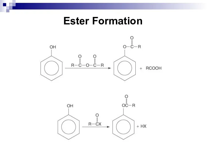 Ester Formation