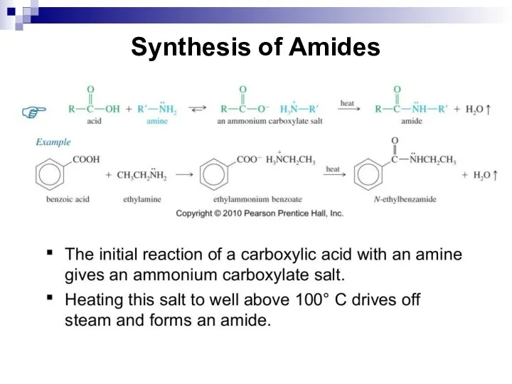 Synthesis of Amides