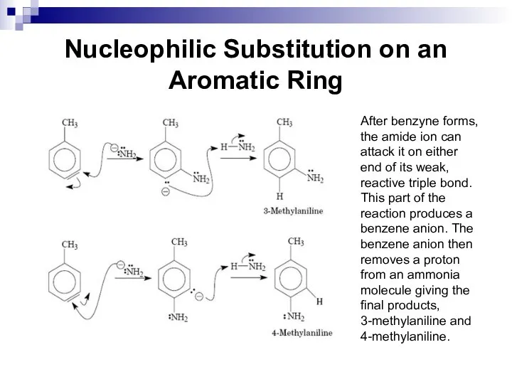 Nucleophilic Substitution on an Aromatic Ring After benzyne forms, the amide ion