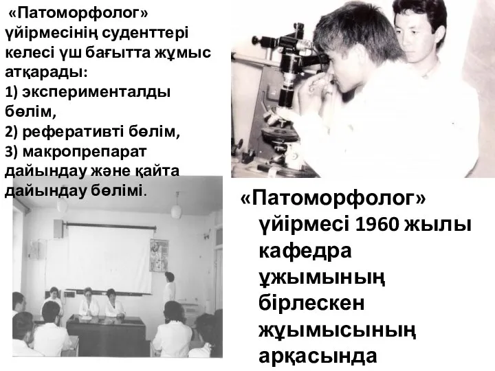 «Патоморфолог» үйірмесі 1960 жылы кафедра ұжымының бірлескен жұымысының арқасында құрылды «Патоморфолог» үйірмесінің