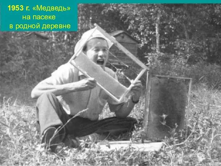 1953 г. «Медведь» на пасеке в родной деревне