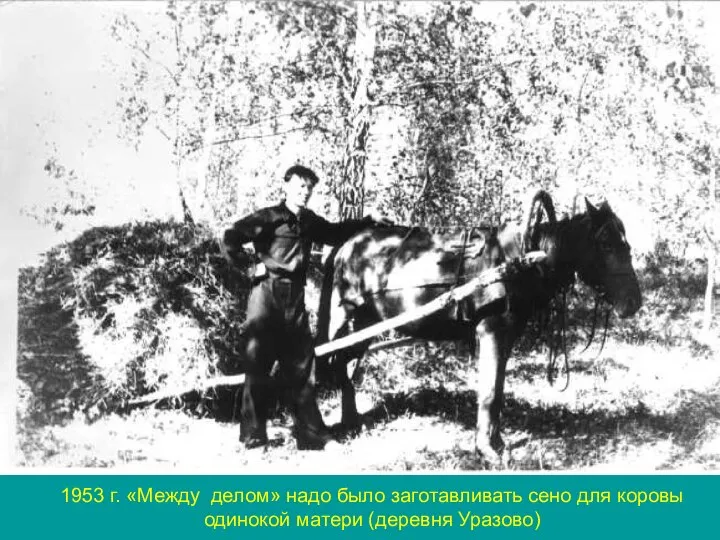 1953 г. «Между делом» надо было заготавливать сено для коровы одинокой матери (деревня Уразово)