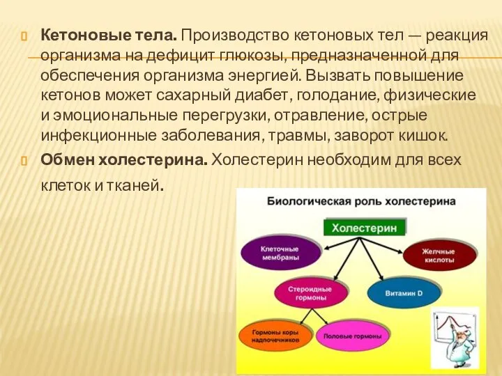 Кетоновые тела. Производство кетоновых тел — реакция организма на дефицит глюкозы, предназначенной