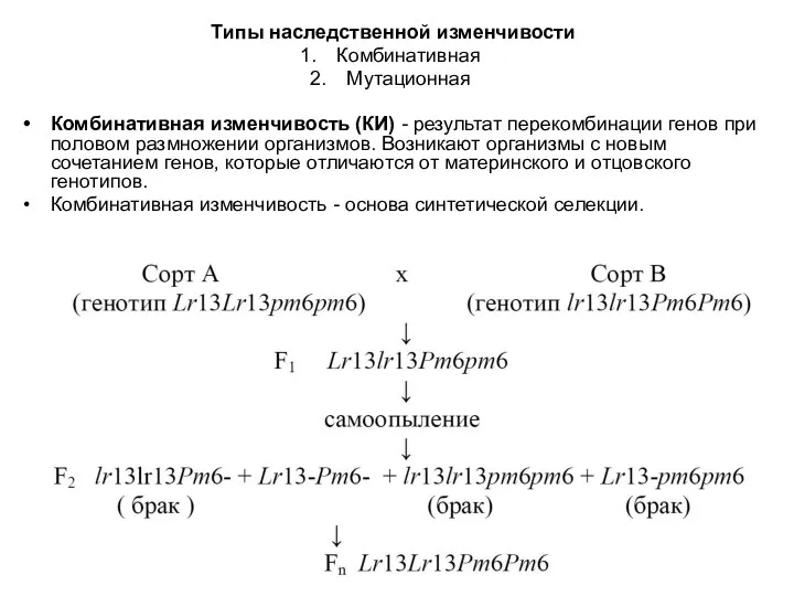 Типы наследственной изменчивости Комбинативная Мутационная Комбинативная изменчивость (КИ) - результат перекомбинации генов