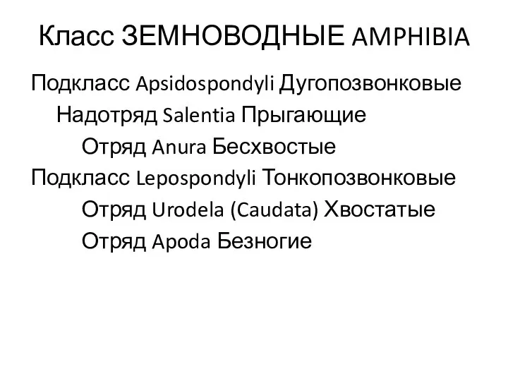 Класс ЗЕМНОВОДНЫЕ AMPHIBIA Подкласс Apsidospondyli Дугопозвонковые Надотряд Salentia Прыгающие Отряд Anura Бесхвостые