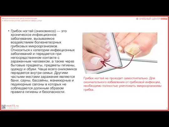 Грибок ногтей (онихомикоз) — это хроническое инфекционное заболевание, вызываемое воздействием болезнетворных грибковых