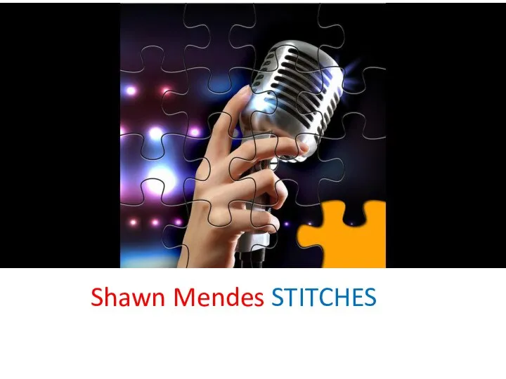 Shawn Mendes STITCHES