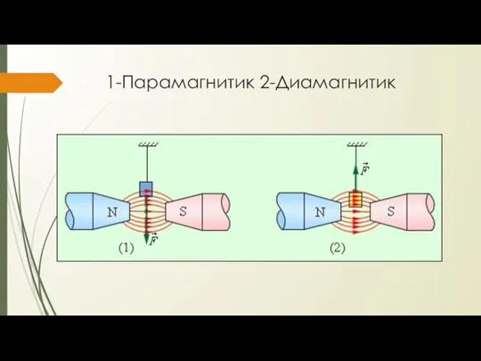 1-Парамагнитик 2-Диамагнитик